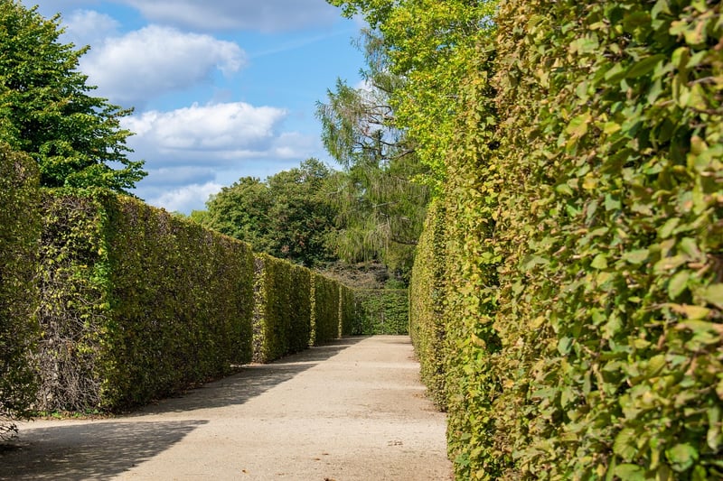 Labyrinth Walking Outdoors